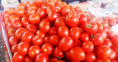 الطماطم بـ 6.5 جنيه والبطاطس 4 جنيهات.. أسعار الخضراوات اليوم