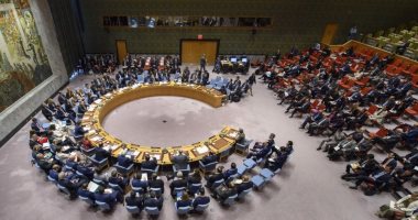 مجلس الأمن يشيد بدور مصر فى محادثات مجلسى النواب والأعلى للدولة الليبيين