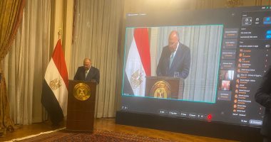 وزير الخارجية: مصر تعمل على تهدئة الصراعات وتجنب الآثار المدمرة لنشوبها
