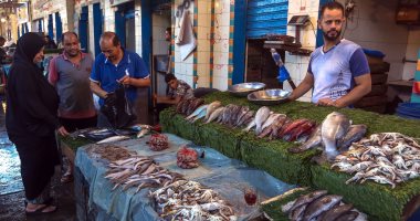 أسعار الأسماك فى مصر تسجل استقرار ملحوظ عند 62 جنيها للبلطى