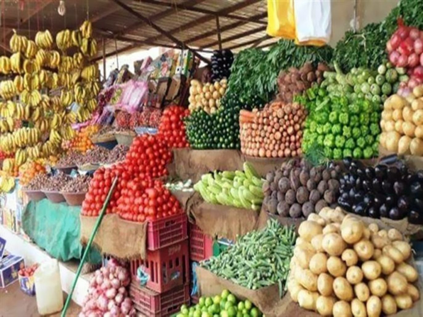 أسعار الخضراوات بداية تعاملات اليوم الاثنين 13 مارس