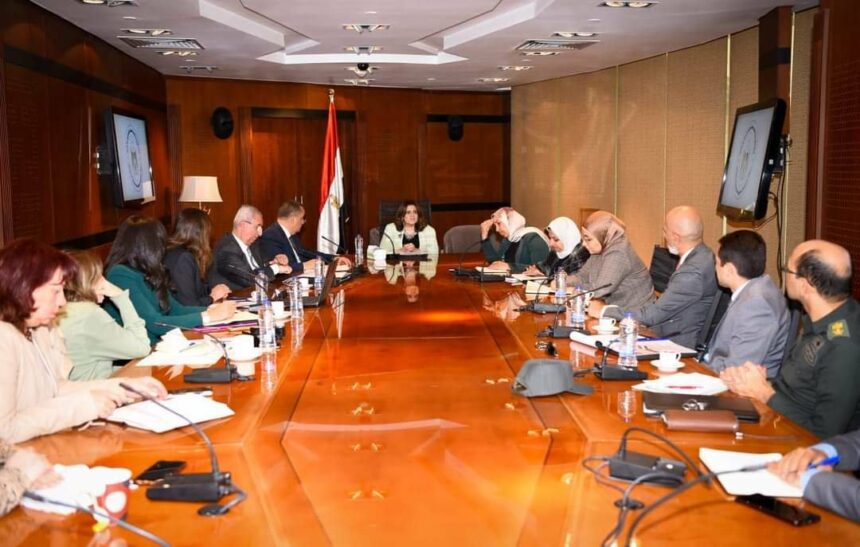 وزيرة الهجرة تترأس اجتماع اللجنة الوطنية الدائمة لمتابعة الطلاب المصريين بالخارج