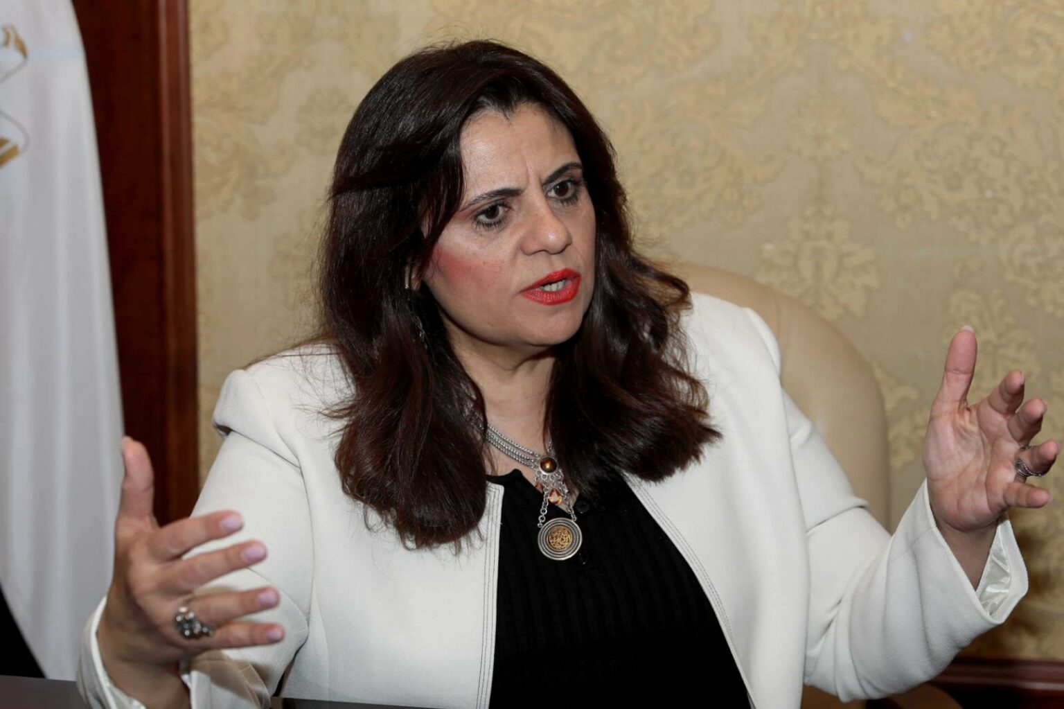وزيرة الهجرة تلتقي أعضاء اتحاد المصريين بالخارج في الولايات المتحدة الأمريكية