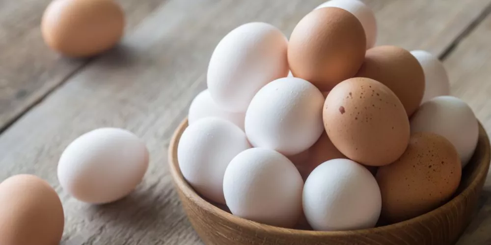 أسعار البيض خلال بداية تعاملات اليوم الأربعاء 15 مارس