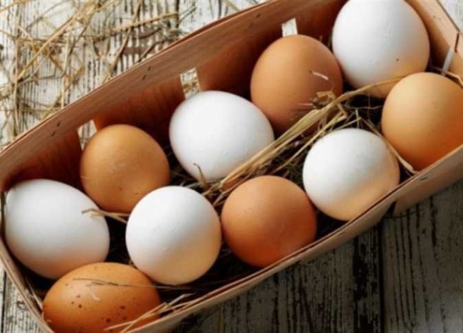 استقرار أسعار البيض خلال بداية تعاملات اليوم الثلاثاء 21 مارس