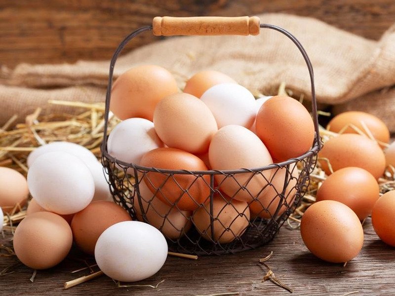 أسعار البيض خلال تعاملات اليوم الأربعاء 22 مارس
