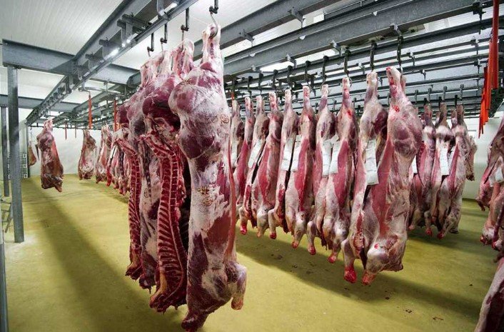 بعد حالة جنون البقر في البرازيل.. «الزراعة» تكشف عن ضوابط استيراد اللحوم