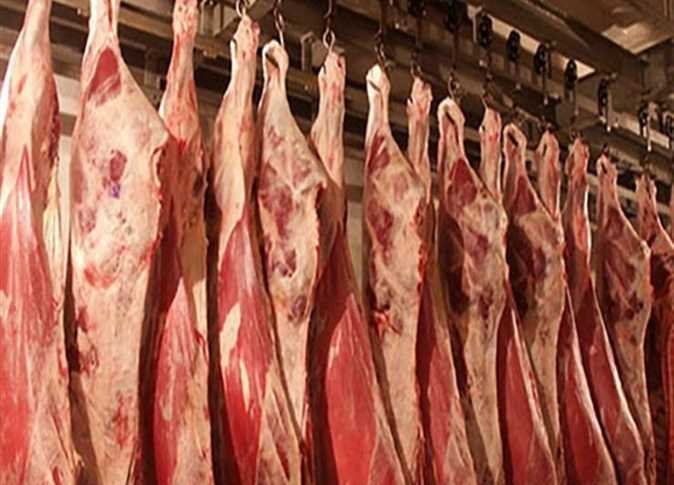 الكيلو بـ 145 جنيها.. التموين تكشف تفاصيل طرح اللحوم التشادية في الأسوق