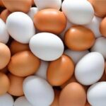 أسعار البيض بداية تعاملات اليوم الأحد 19 مارس