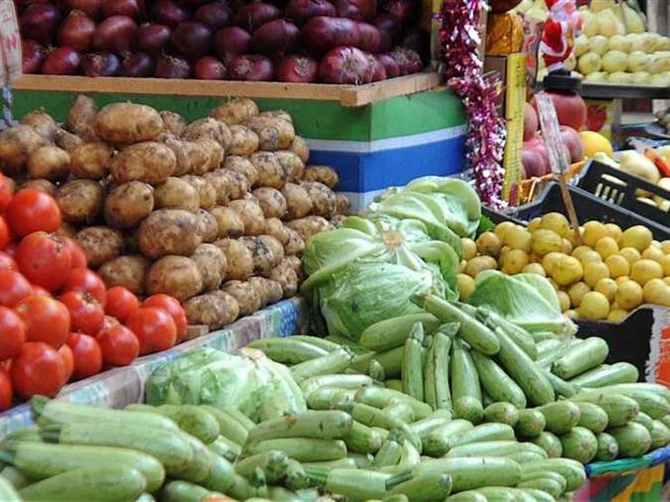 الطماطم تسجل 6 جنيهات.. أسعار الخضروات اليوم الاثنين 27 مارس 2023