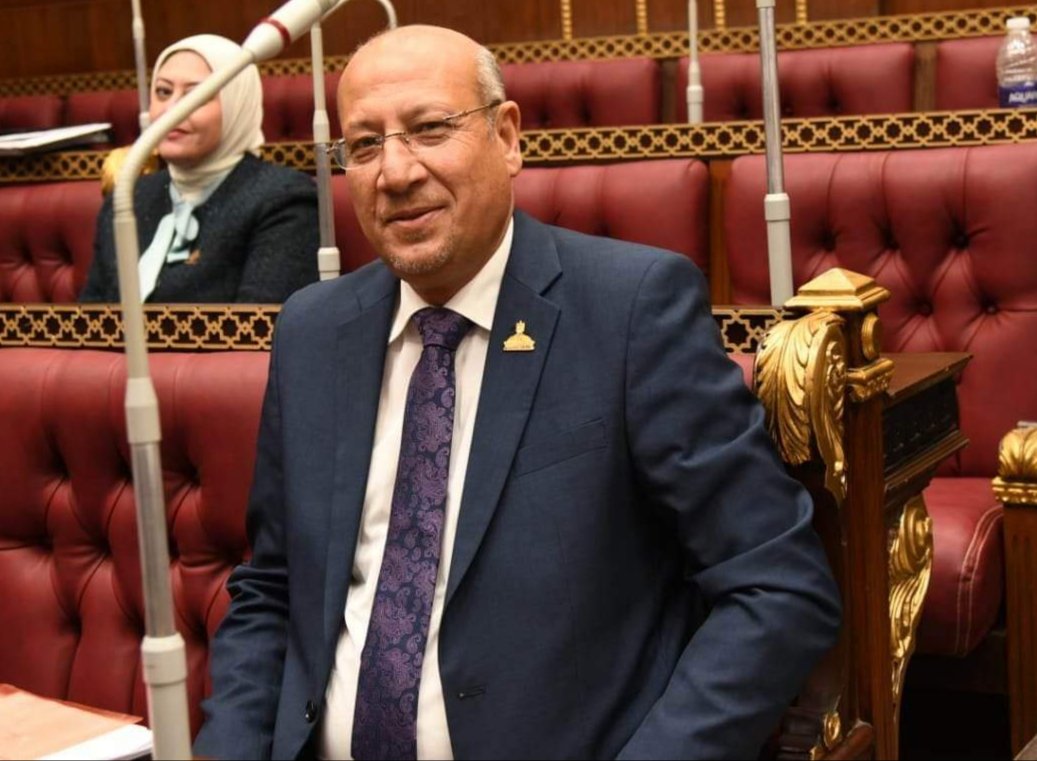 برلماني يثمن قرار الرئيس السيسي بالتوسع في دعم مشروعات الإدخار