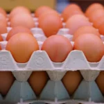 أسعار البيض خلال تعاملات اليوم الأحد 26 مارس