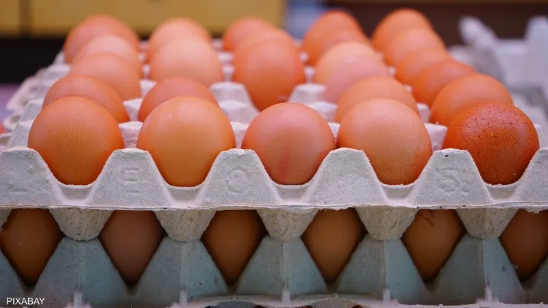 أسعار البيض خلال تعاملات اليوم الأحد 26 مارس