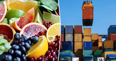 صادرات مصر من الفاكهة الطازجة ترتفع إلى 206 ملايين دولار فى شهر واحد