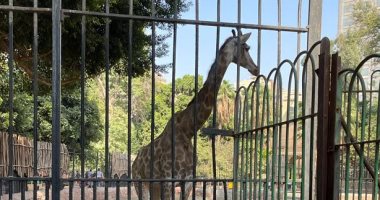 حديقة الحيوان تستقبل المواطنين للاحتفال بعيد شم النسيم