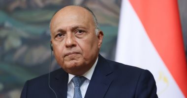 وزير خارجية الهند لسامح شكرى: نثمن جهود وساطة مصر لوقف إطلاق النار فى السودان