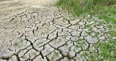 الجفاف يهدد 60% من القمح فى الأرجنتين وخسائر 7.3 مليار دولار فى الصويا