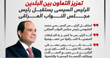 تعزيز التعاون بين البلدين.. الرئيس السيسي يستقبل رئيس نواب العراق.. إنفوجراف
