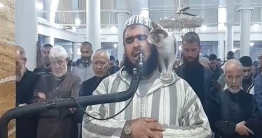 شاهد قطة تعتلى كتف إمام مسجد من الجزائر وتقبل وجهه أثناء صلاة التراويح