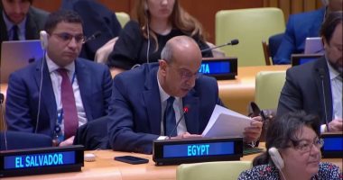 مصر تؤكد أهمية منح القارة الأفريقية مقعدين دائمين بمجلس الأمن