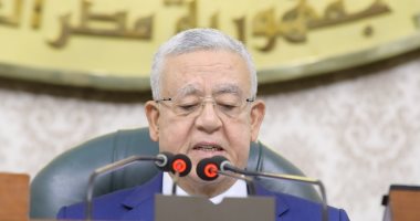 مجلس النواب يقر حق أبناء المصرية فى الحصول على الجنسية أسوة بالأب