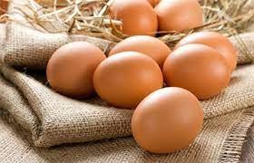 أسعار البيض خلال تعاملات اليوم الأحد 23 أبريل