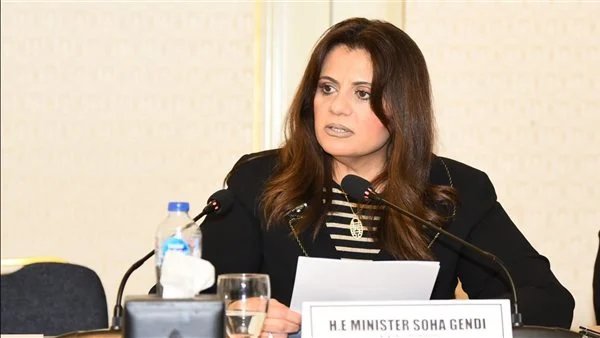 وزيرة الهجرة تلتقى عددًا من أبناء الجالية المصرية في السويد والدنمارك وليتوانيا