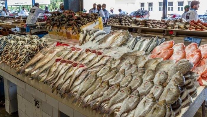 سعر البلطي مفاجأة.. تعرف على أسعار الأسماك أول أيام عيد الفطر المبارك