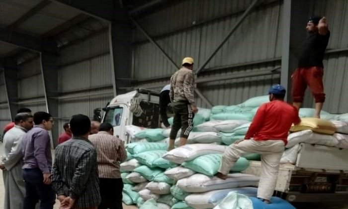خبير زراعي: مصر لديها صوامع تمكنها من تخزين 5.5 مليون طن قمح