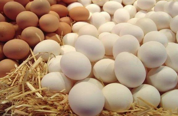 سعر البيض خلال بداية تعاملات اليوم الاثنين 17أبريل