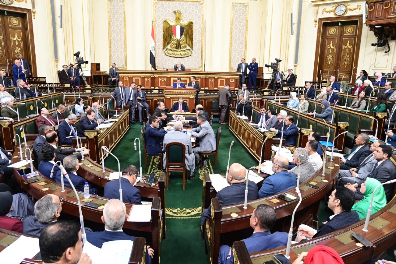 اليوم.. مجلس النواب يناقش مشروع قانون الجنسية المصرية
