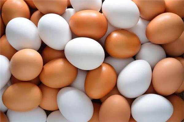 ارتفاع سعر البيض خلال بداية تعاملات اليوم الأحد 16 أبريل