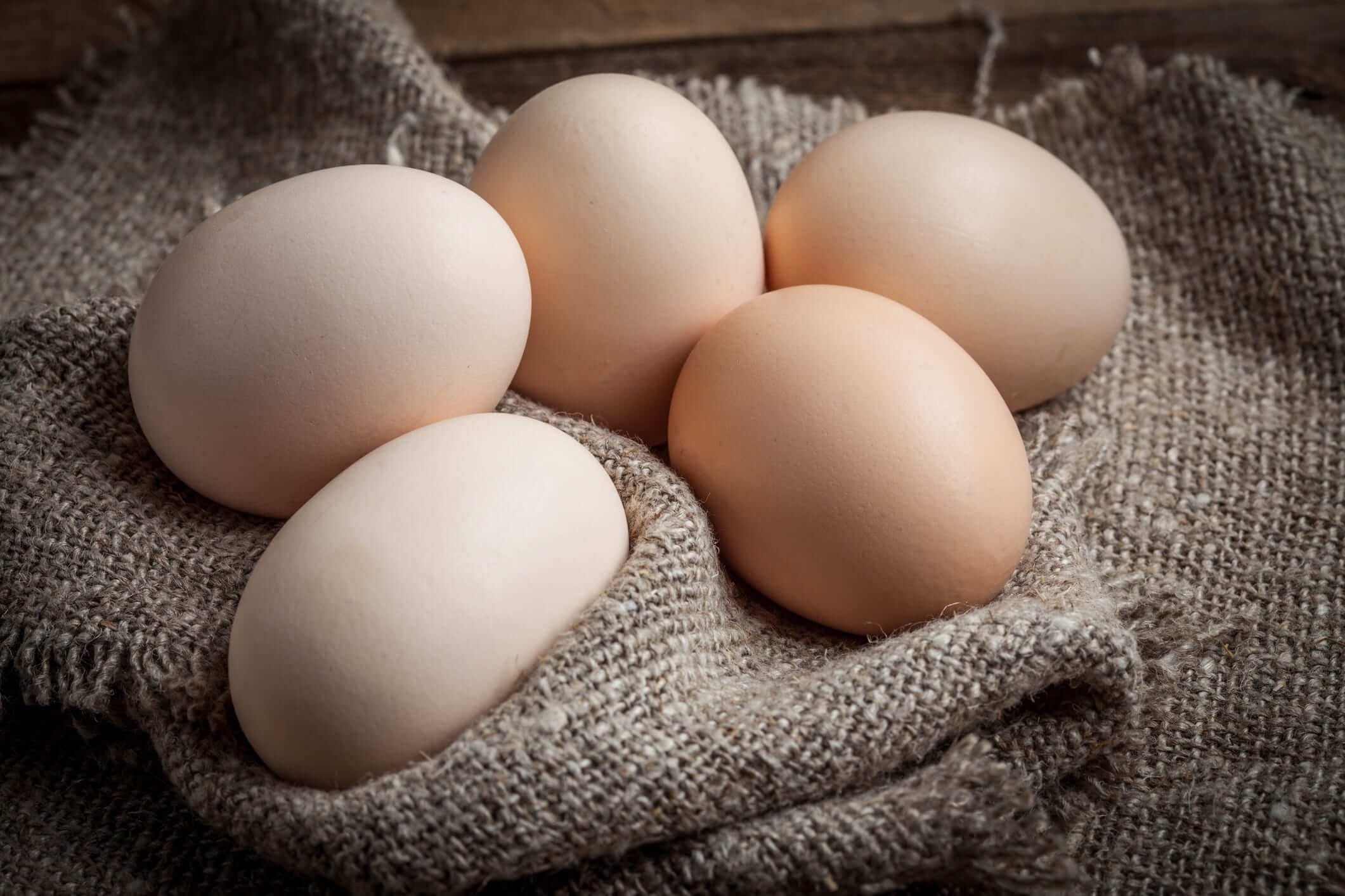 أسعار البيض خلال تعاملات اليوم الأربعاء 26 -4-2023