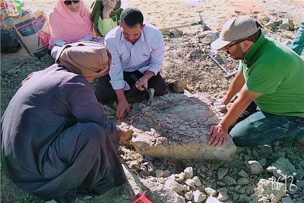 صدق أو لا تصدق.. اكتشاف حفرية سلحفاة عمرها 70 مليون سنة في مصر
