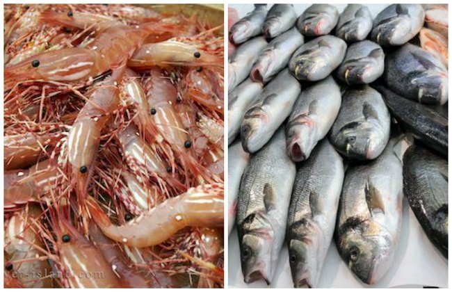 أسعار الأسماك والجمبري اليوم الأربعاء 26-4-2023