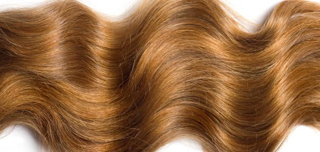 وصفات هندية لتطويل الشعر