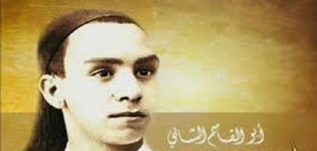 أفضل كتب الشاعر العربي أبو القاسم الشابي