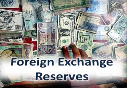 احتياطي النقد الأجنبي (احتياطي العملات الأجنبية)