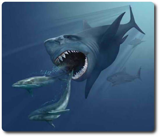القرش الابيض العملاق ” القرش ميغالودون “