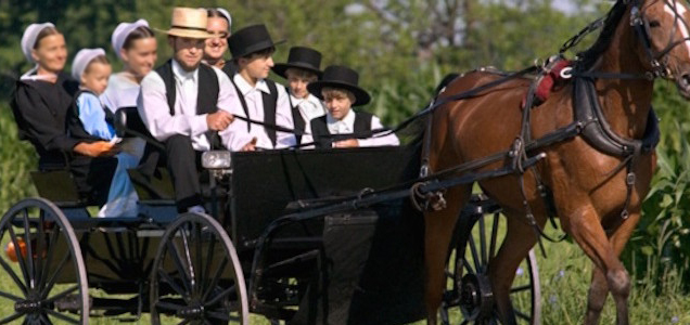 تعرف على طائفة الآميش الغريبة (Amish)