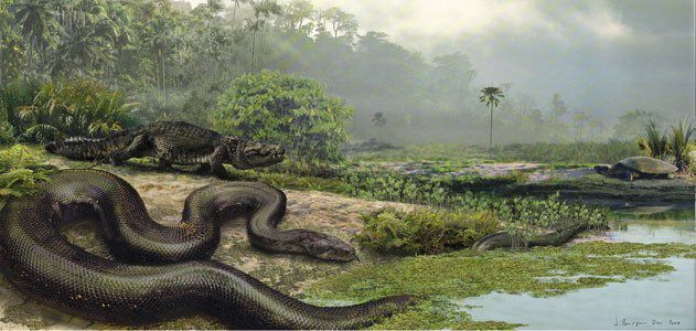 ثعبان تيتانبوا هو من أكبر الثعابين حجماً
