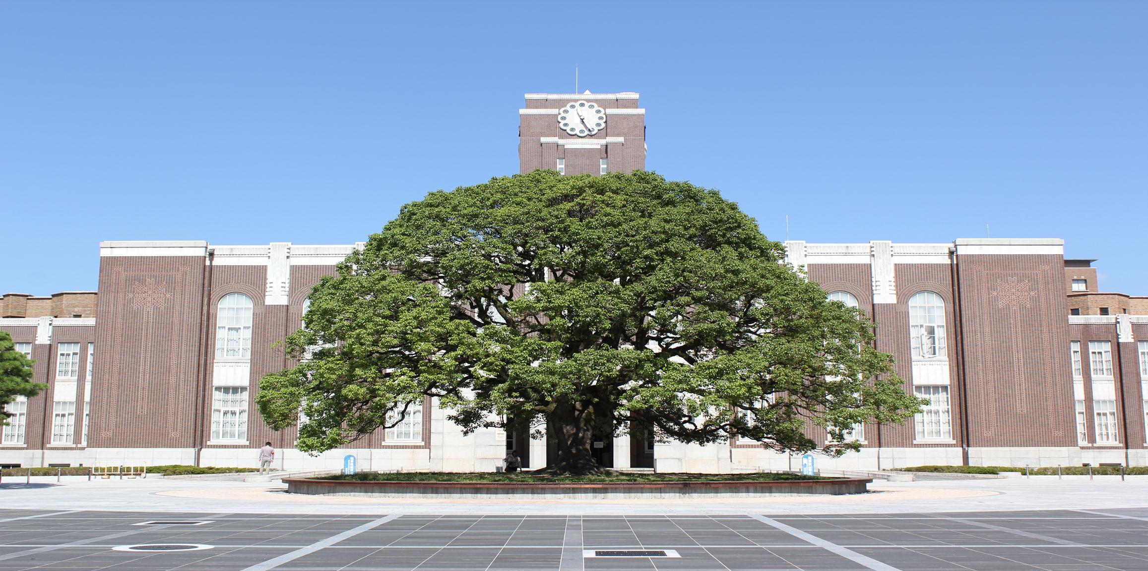 جامعة كيوتو باليابان