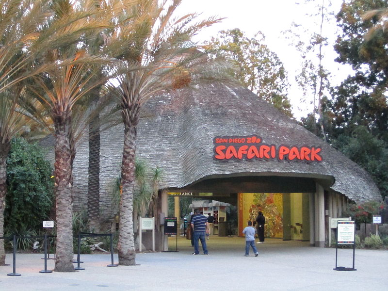 حديقة حيوان سفاري بارك سان دييغو