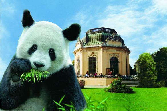 حديقة حيوان شونبورن السياحية في مدينة فيينا