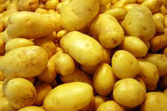 طريقة تخزين البطاطس لفترات طويلة