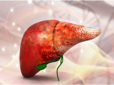 علامات تلف الكبد التي يخبرنا بها الجسم