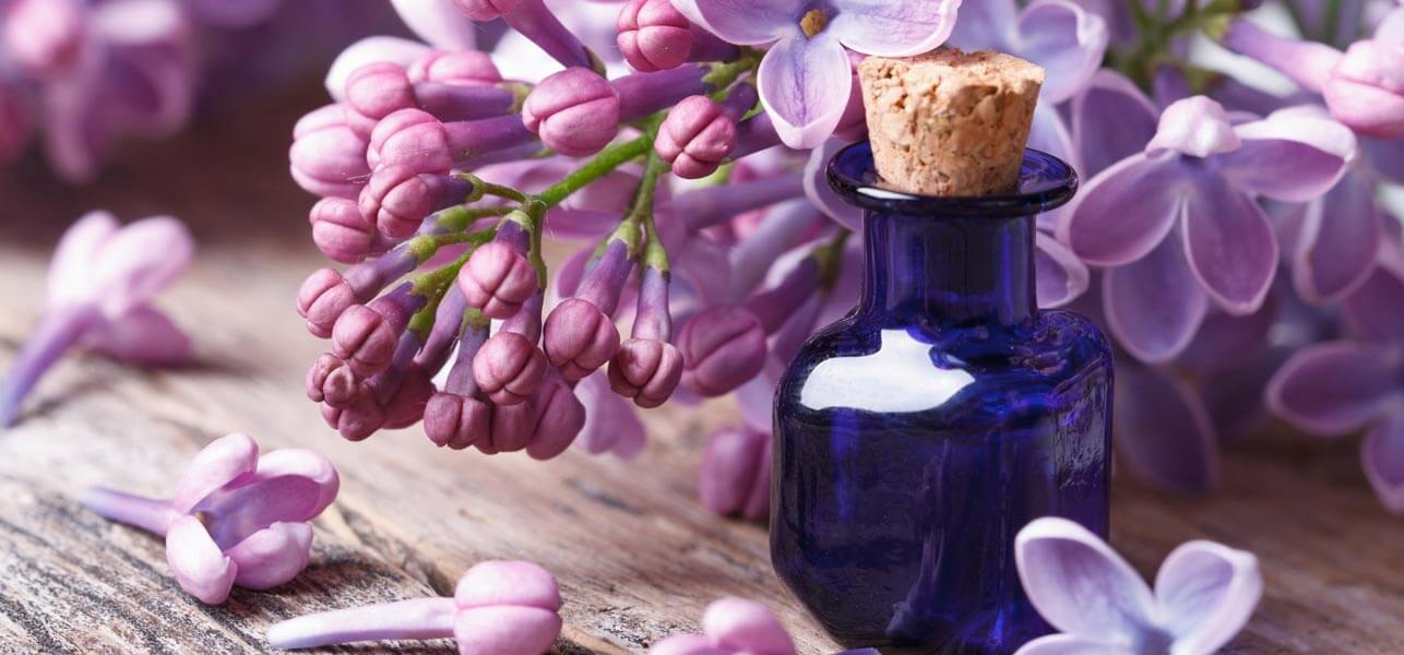 فوائد زيت الليلك ” Lilac Essential Oil”
