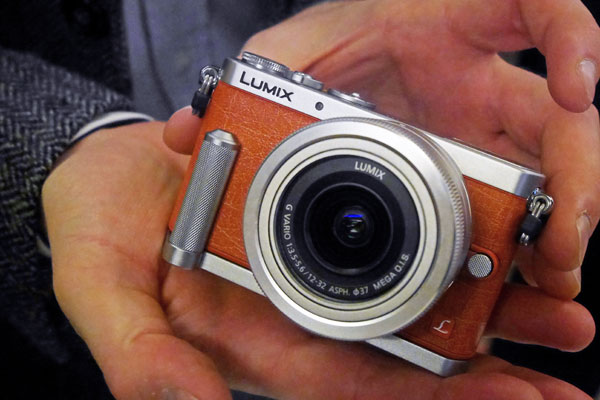كاميرا صغيرة باناسونيك لوميكس Panasonic Lumix DMC-GM1