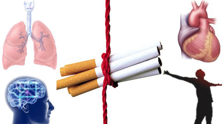 ماذا يحدث في جسمك عندما تتوقف عن التدخين ؟