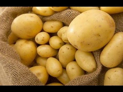 ماهي طرق تخزين البطاطس ؟
